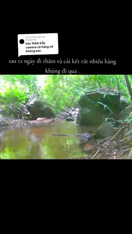 Trả lời @82ngoochi. có cả toro nữa #hunterxhunter #laos🇱🇦 