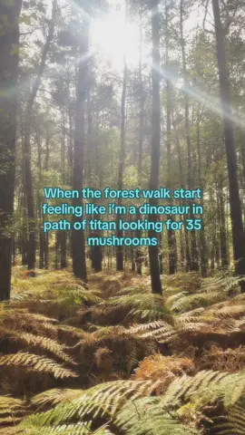 This forest is so peak guys y’all have no idea 🥹🥹🥹 #pathoftitans#PoT#dinosaur#fyp#dinosaurs