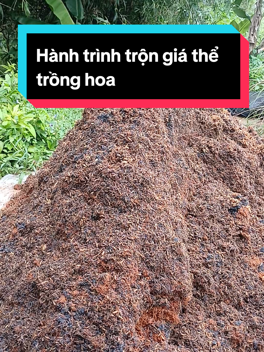 Trộn giá thể trồng hoa #phanbon #hatgiongvantho 