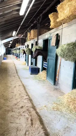 #cabello de aquí salen los ganadores del Derby 