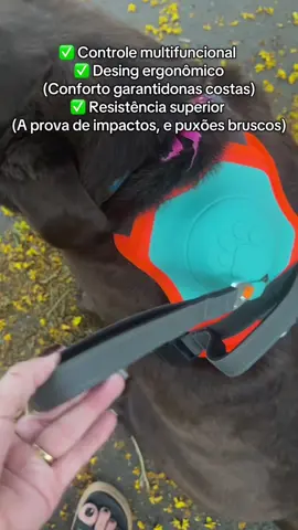 Passeios diários com segurança para você e seu Pet! 🐶🐾@Momovida  #MOMOVIDA #pet #passeios #cachorro #fyp 