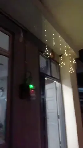 Diwali Lights Waterproof Light 8 Modes #diyalight #deepavali #diwalilight #deepavalidecoration#deepavali2025