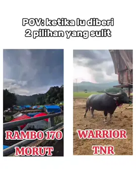 TENTUKAN PILIHAN MU!!! #arenane'tumbangbangsadamai#170morutteam#tnrteam#kpts 