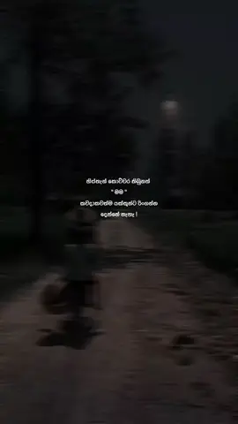 ආදරේ හිස්තැන් තිබ්බහම ඒවා අස්සට යක්කු රිංගනවලු..., මහා ලොකු හිස්තැන් එක්ක ජිවත් වෙන මිනිස්සු තාම ඉන්නවා.... සමහර හිස්තැන් හැම මිනිහෙකුට ම සම්පුර්ණ කරන්න බෑ... හිතුමනාපෙට හිස්තැන් අස්සට ආගන්තුකයෝ වද්ද ගන්න තරම් අහේනියක් ආදරණීය හිත් අස්සේ නෑ... ඉතින්, සමහර හිස්තැන් වලට මොන යකෙක්ටවත් රිංගන්න බෑ 🙇‍♀️💗💐