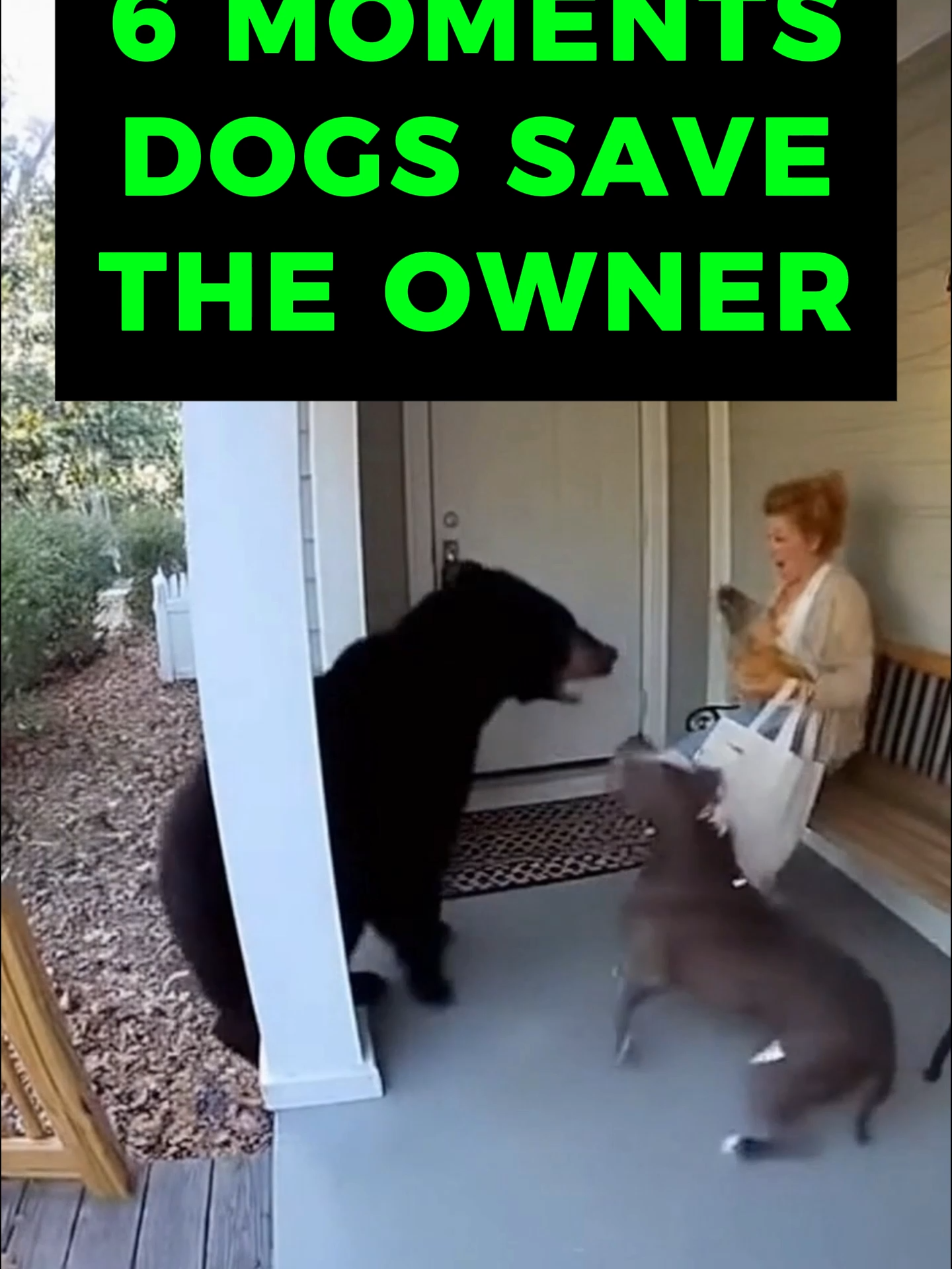Top 6 Moments Dogs Save The Owner #dogs #wildlife #animalsreact #pitbull #viral #cctv