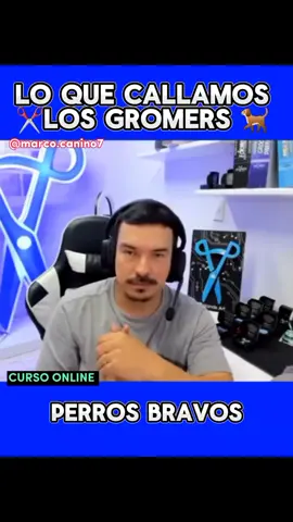 LO QUE CALLAMOS LOS ESTILISTA CANINOS  #peluqueríacanina #amoalosperros #amantesdelosperros #peluqueríaparaperros #mascotas 