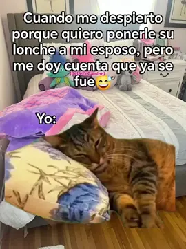 #fypviralシ #lunes #humor #fyp #trabajo 