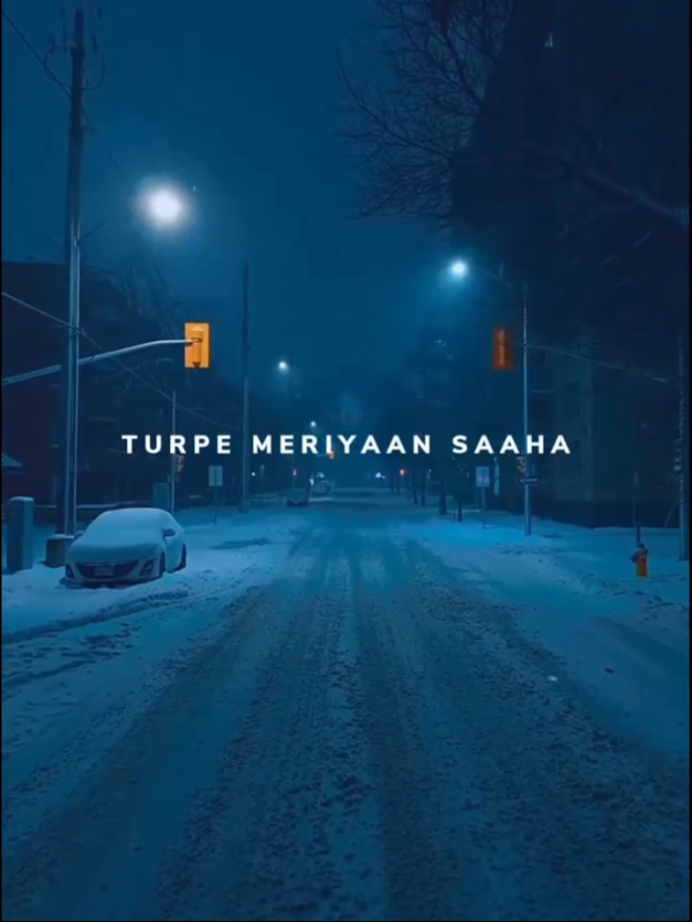 Mere Dill Ne...💖🥰🌹 Try With Your Own Voice  #lyrics_hub #topmoviesongs #creatorsearchinsight #10Mviewsplz #samjhawan 
