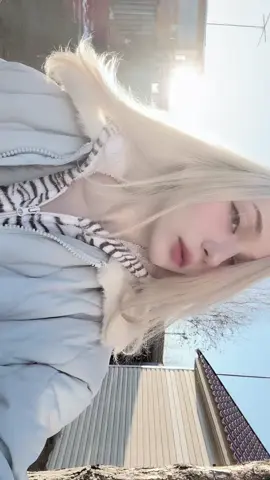 🐁