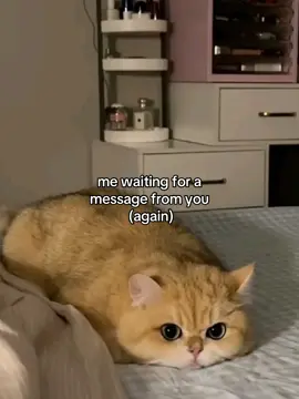 #fyp #relatable #couple #Love #Relationship 