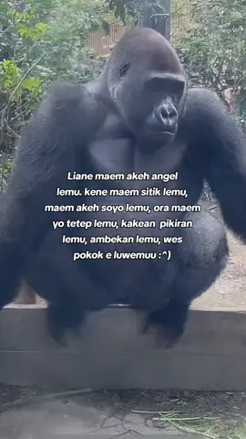 #fypp mambu kuah bakso ae iso lemu😪#jowopride #katakata #sindiran #puitekchanel 