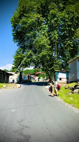 Dadr waly Hazrii Lagao🤩🫶.   #fyp #sajjad77 #foryoupage #sirenvalley #unfrezzmyaccount @sajjad____77 