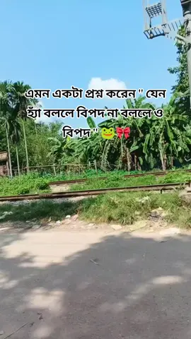 এমন একটা প্রশ্ন করেন '' যেন হ্যাঁ বললে বিপদ না বললে ও বিপদ '' 🐸🎀 #tardigvideo #unfrezzmyaccount #pyyyyyyyyyyyyyyyf #fouryouppag 