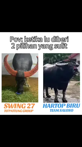 TENTUKAN PILIHANMU🔥🔥#kptstoraja🐃🐃#SWING27#vs#HARTOPBIRU#kptstoraja🐃🐃  fyppppppppppppppppppppppppppppppppppp