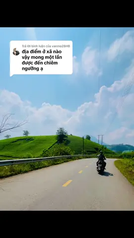 Trả lời @vanmo28HBMời Bạn về Long Cốc ngắm đồi chè đẹp nhất Việt Nam 🫶 #viralvideo #viraltiktok #cảnhđẹpthiênnhiên #19đấttổ #đồichèlongcốc 