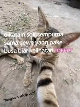 cmn kata' 😹  #fyppppppppppppppppppppppp 