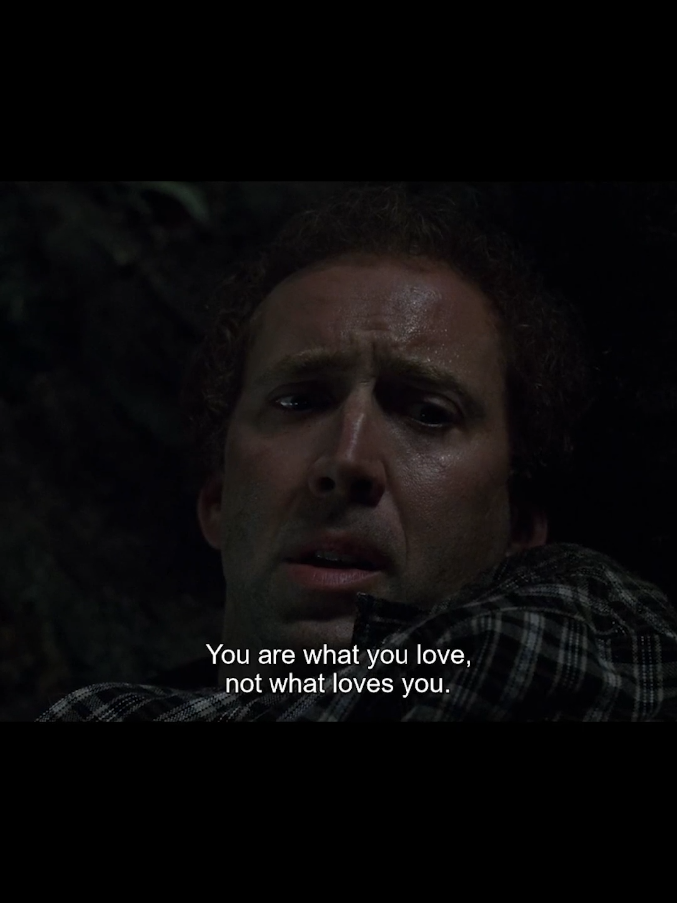 You are what you love, not what loves you. Adaptation (2002), dir. Spike Jonze #filmtok #movietok #charliekaufman #spikejonze #moviequotes 