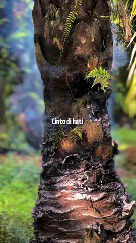 #CapCut cinto di hati#liriklagu #fypシ #minang #slowmo 