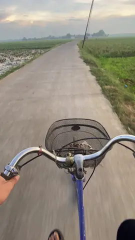 vibes jepang x subang.                          #fyp #vibes #4upage #jepangindonesia🇯🇵🇲🇨 