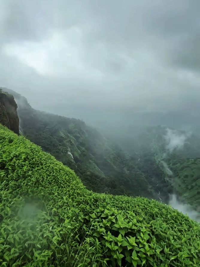 tamil vibes nature  #tamilbgmlove #tamilbgmnature #fyp #anbeenanbebgm #tamilsongsstatus 