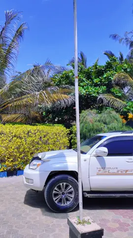 Issa & Maria 💥🌹🤎🎀