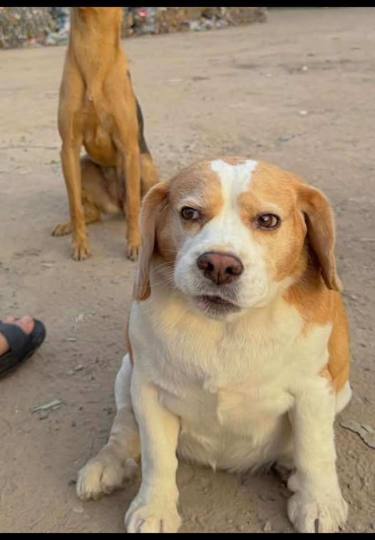 2🤣#flypシーforyou #🍀 