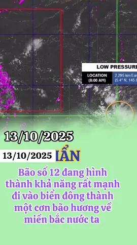 Tin khẩn cơn bão số 12 #TikTokAwardsVN #xuhuongtiktok 