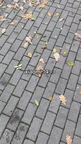 mi 14😍😍 #techtok #xiaomi14 #china #mi14 #xiaomi 