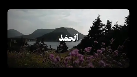 #قران_كريم 🤎