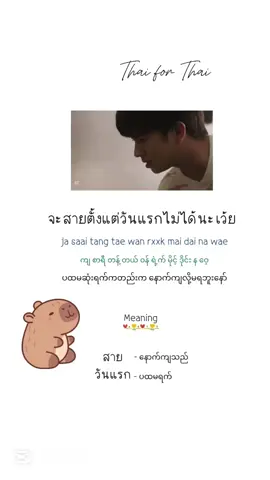 #ထိုင်းစကားလေ့လာကြမယ် #ထိုင်းစကား #languagelover #foryou 