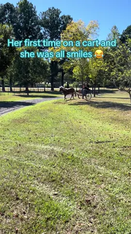 All smiles and laughter #goodtimes #family #ponies 