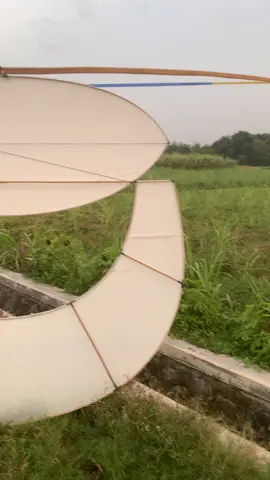 dolanane wong ndeso🥺#pelayangblitarbarat #pelayangblitar #blitarkiteshop #fyp #4you 