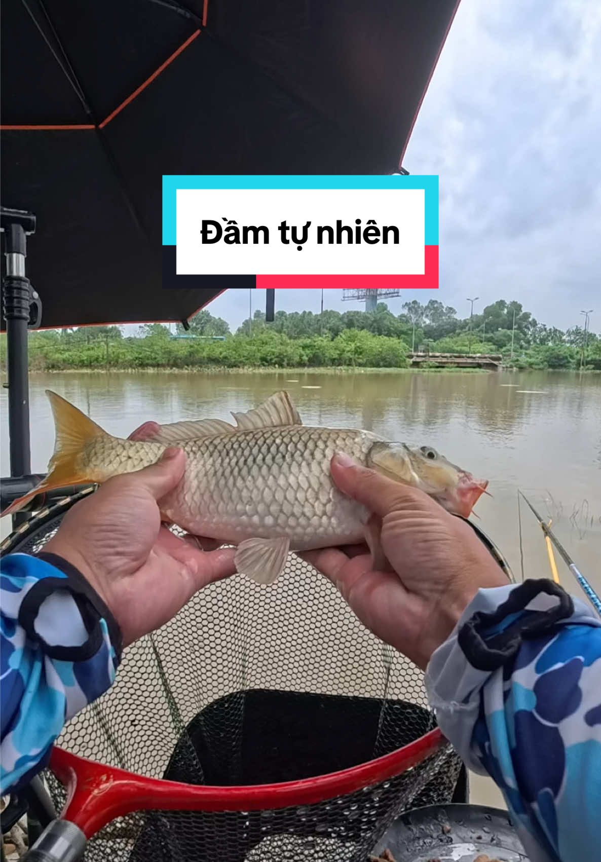 Đầm tự nhiên không bao giờ cạn nước, vé câu 200k chán về - Đông Anh, Hà Nội #cauca #fishing #xh #TikTokAwardsVN 
