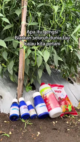 mana suara nya petani indo#petaniindonesia🇮🇩🇮🇩🇮🇩🌿🌿 #petanimillenial #petanimuda #petanisukses #petani 