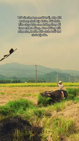 Vội vã mong mình trưởng thành để rồi nhận ra, tuổi thơ là điều tuyệt vời nhất.                     Tuổi thơ – nơi có những buổi chiều lội ruộng bắt cua, có tiếng sáo diều vi vu giữa cánh đồng yên ả, có những trò nghịch ngợm đầy tiếng cười bên lũ bạn quê. Không lo toan, không áp lực, không vội vã. Mọi thứ bình dị, nhỏ bé, nhưng đủ làm tim mình ấm lại khi nhớ về. Bây giờ, giữa dòng đời tất bật, đôi lúc chợt thèm một buổi chiều ngồi bên bờ ruộng, ngắm con trâu gặm cỏ, nghe tiếng gió thổi qua rặng tre, không điện thoại, không deadline – chỉ có mình và ký ức.                #quenha #kyuctuoitho                #binhyen                         #hoainiem 