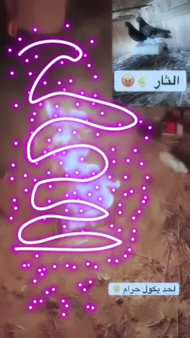جبنه الثار 😂✌️@⚔️مٰـہٰٖدمٰـہٰٖنٰـہٰٖ⚔️ @حـــسيـن🌑👻 @✰あح̷س̷ن̷ ع̷ٍٵ̷ د̷ِل̷✰↻ @منتضر حمود 🇧🇪 @سلوم أإآ @مجهول #حمام_لوت #انريكو #الشعب_الصيني_ماله_حل😂😂 #fyp #مالي_خلق_احط_هاشتاقات🧢 