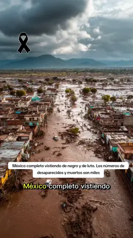 México completo vistiendo de negro y de luto Los números de desaparecidos y muertos son miles #mexico #fyp #mexicanosenusa #mexicano #parati 