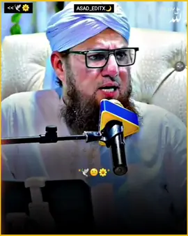 #abdul_habib_official ❤️ #ff_lover  #for_you_page #islamic_video  #grow_account 