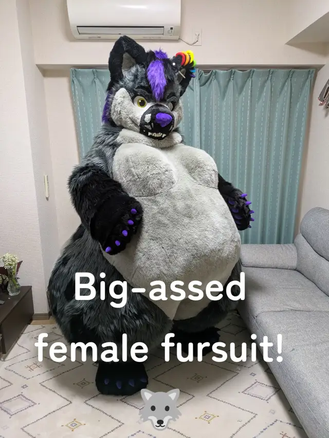 I made a fursuit for a female wolf with a big butt! Her huge butt is super cute!! #furry #fursuit #fursuitmaker #plush #着ぐるみ I am accepting commission requests for fursuits and stuffed animals. Please feel free to contact me via message request or on the website.