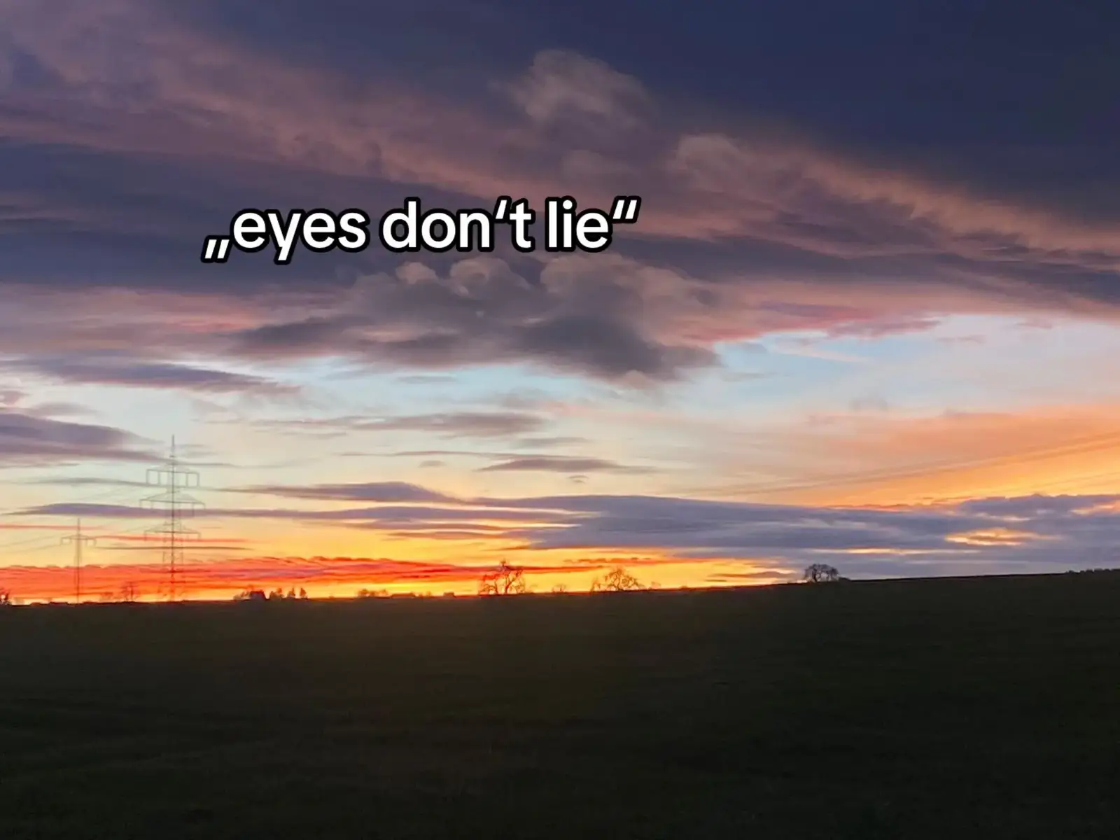 Iam Agnes Tachyon! #umamusume #agnestachyon #umamusumeprettyderby #eyes #lie 