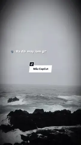 #CapCut Làm dâu nhà giàu =))..   #nhachaymoingay #qanhuocmauc #capcutpioneer #pioneertemplate @Update Mẫu Hot 🇻🇳 