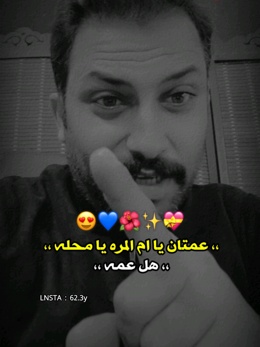 عمتك ام مرتك شلونها وياك ❤️🤞 #قاسم_الدبي #الشاعر_قاسم_الدبي #محمد_الهليجي #المهوال_محمد_الهليجي #المصمم_ليلو_العراقي 