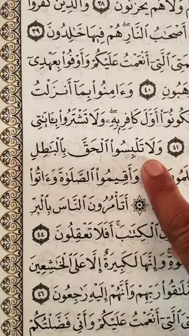 humble recitation Surah Al-Baqarah 🤍  #quran #fyp #viral #foryoupage 