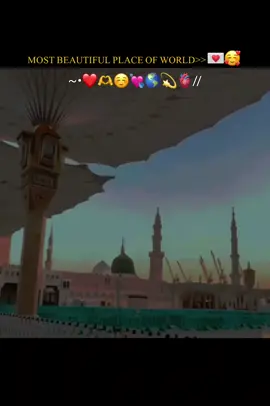 .  .  .  .  .  .  .  .  . .  .  .  .  .  .  .  .  .  .  tiktok plzzzzz unfreezee my account🙏🙏🙏🙏🙏 #fyp #unfrezzmyaccount #islamic_video #1million #dontunderreviewmyvideo @tiktok creators 