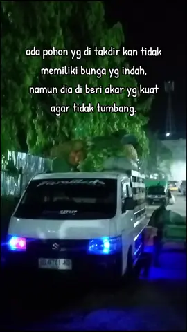 namun ini bukan tentang pohon.  #fypシ゚viral #berandatiktok #pickupindonesia🇮🇩 #curup #palembang #prabu #supircabebalap🌶️🌶️ #newcarrymodifikasi #supirsayurindonesia #palembangtiktok #newcarryindonesia 