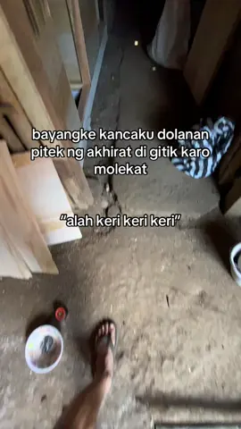dyar#foryou #fyp #ayambangkoksuper #ayam #farm 