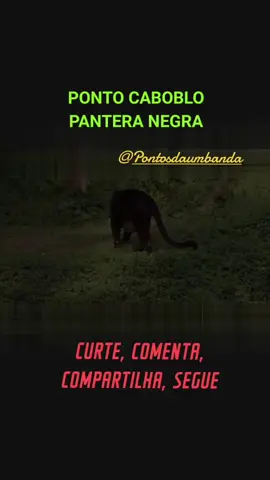 PONTO PARA O CABOCLO PANTERA NEGRA #umbanda 
