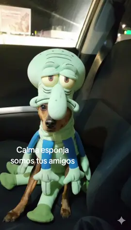 #humor #ia #parati #trend #perro 