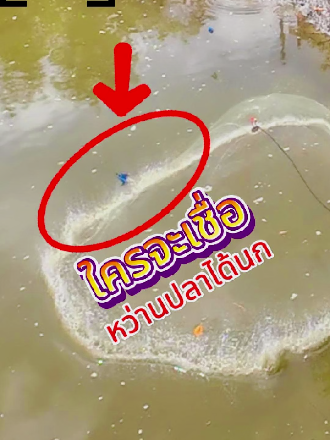 จังวะพอดี หว่านปลาได้นก🐟🦆#FISHJANGฟิชจังมีตัวเป็นโดน