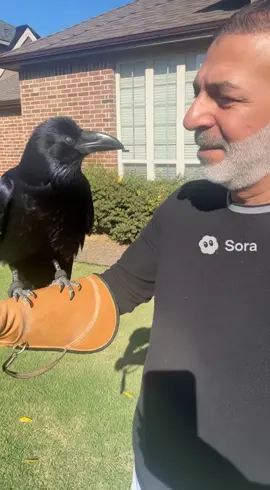 #sora